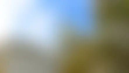 Cúpula dorada del edificio del Capitolio bajo un cielo azul con nubes. Árboles verdes y dorados en el primer plano. Ambiente sereno.