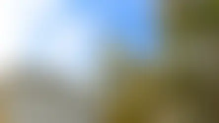 Cúpula dorada del edificio del Capitolio bajo un cielo azul con nubes. Árboles verdes y dorados en el primer plano. Ambiente sereno.