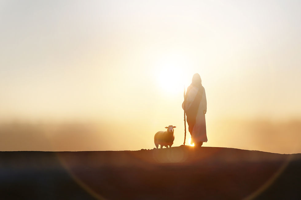 (Foto: Adobe Stock)