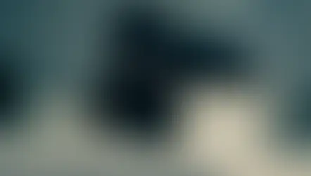 Cuando una estafa parece real, hasta con una sala de audiencias falsa