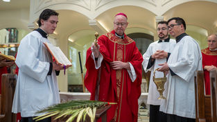 Homilía de Domingo de Ramos del arzobispo James revela la clave de la Semana Santa: la humildad