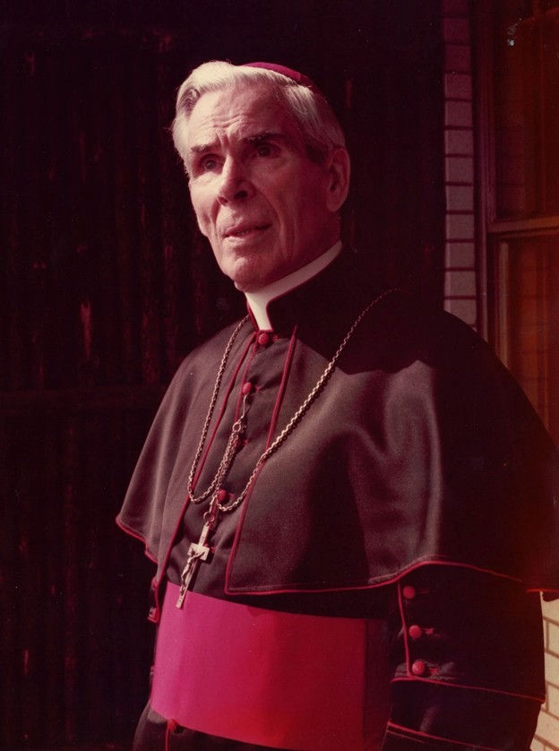 Anciano cardenal católico con sotana negra y púrpura, cruz al pecho, de pie junto a una pared de ladrillo, gesto serio.