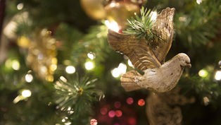 ¿Cuándo termina realmente el tiempo de Navidad?