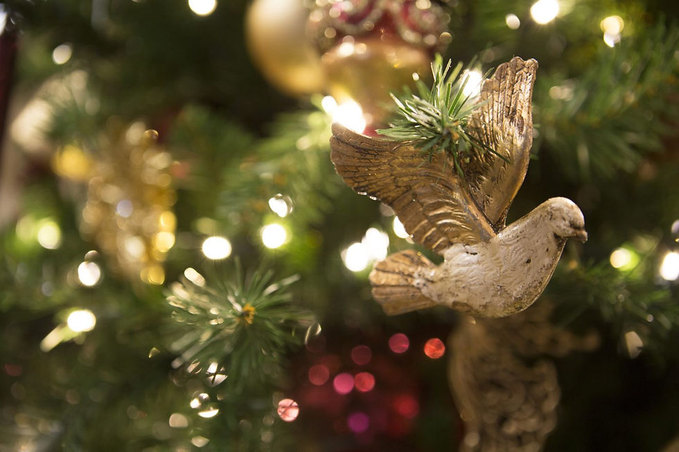(Photo: Lightstock)