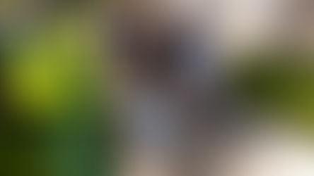 Jóvenes de Denver recuerdan con alegría que nacieron para ser santos