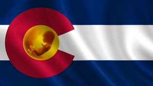 Pro-Life Colorado: Construyendo una cultura de vida